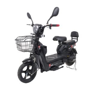 ๐ฒ CRONY W8 Golden Eagle Long Range Electric Bike