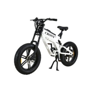 🚲 CRONY T01 Electric Bike – 750W Fat Tire Powe